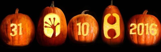 31.10 Halloween Night – Geko Club (Double Area)