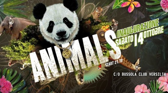 Inaugurazione “Animals” Il Sabato dei Giovani!