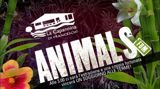 Animals FDM – Single Party of the Jungle