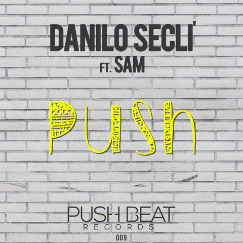 Push il nuovo singolo di Danilo Seclì ft Sam