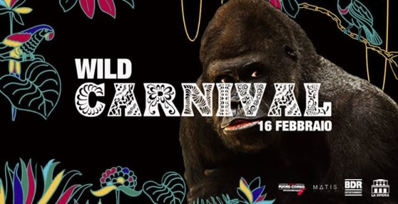Wild Carnival @MatisClub